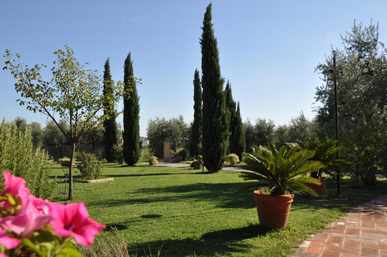 Agriturismo Tori 2 Монтекарло Екстер'єр фото